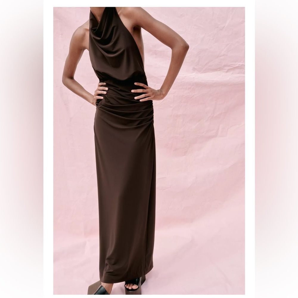 Zara Brown Maxi Skirt